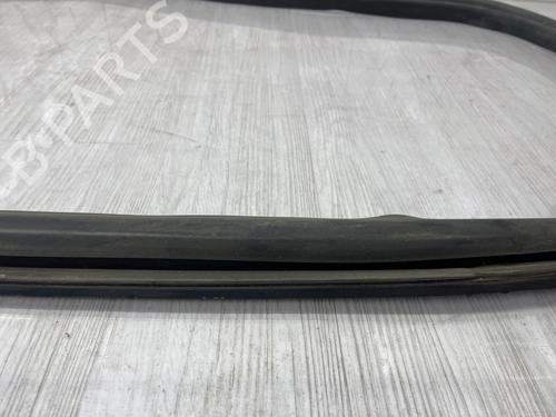 Gummiliste TESLA MODEL 3 (5YJ3) EV Perfomance AWD | BP37868111C142 - Image 3