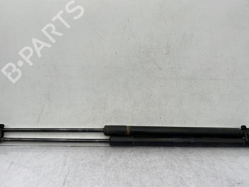 Tailgate lift support AUDI A1 (8X1, 8XK) 1.6 TDI | BP23683828C138 