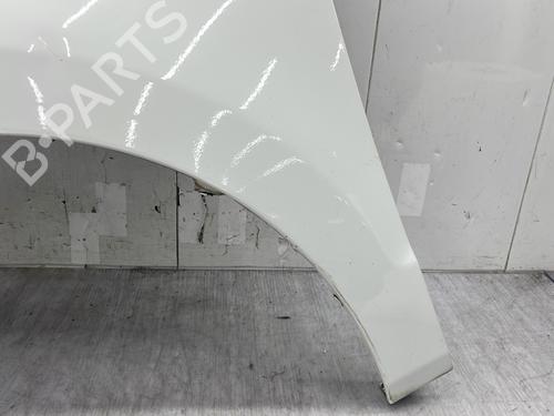 Left front fenders VW POLO V (6R1, 6C1) 1.4 TDI | BP31137684C41 