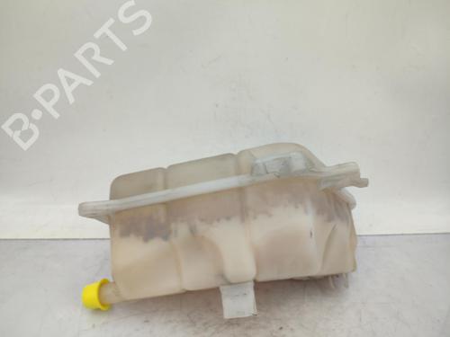 Expansion tank SEAT EXEO (3R2) 2.0 TDI | BP23732045C120 