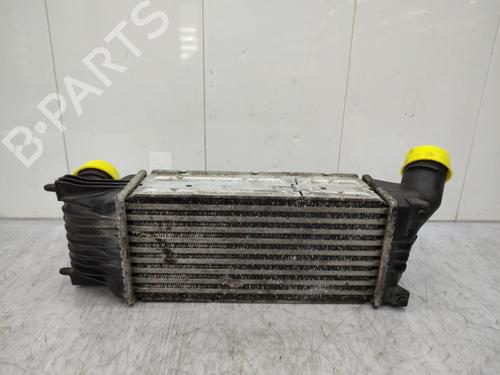 Intercooler CITROËN C5 II (RC_) 2.0 HDi (RCRHRH) | BP23676730M30  - Image 7