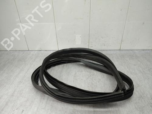 rubber-door-seal-renault-twingo-ii-cn0_-2007-23731521 main image