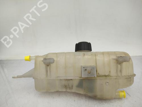 Expansion tank RENAULT CLIO III (BR0/1, CR0/1) 1.5 dCi (C/BR0G, C/BR1G) | BP23711556C120 