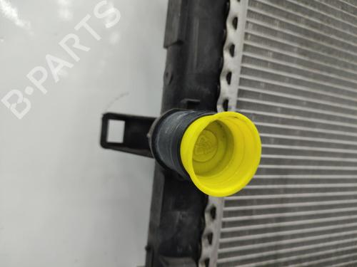 Water radiator RENAULT LATITUDE (L70_) 2.0 dCi 175 (L70Y, L734) | BP23711725M31 - Image 7