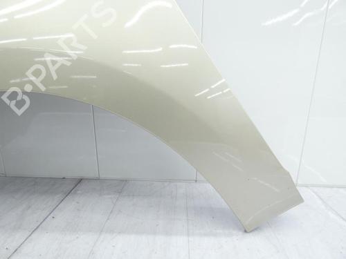 Left front fenders RENAULT SCÉNIC III (JZ0/1_) 1.9 dCi (JZ0J, JZ1J, JZ1K, JZ1S) | BP23697513C41 