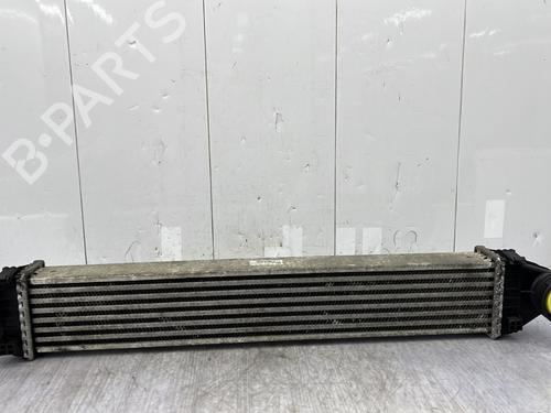 Used Intercooler MERCEDES-BENZ A-CLASS (W169) A 180 CDI (169.007, 169.307) (109 hp) 25330674