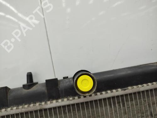 Water radiator CITROËN C4 II (NC_) 1.6 HDi 115 | BP23708421M31 - Image 10