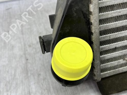 Intercooler FIAT 500 (312_) 0.9 (312AXG1A, 312.AXG11) | BP23756048M30 