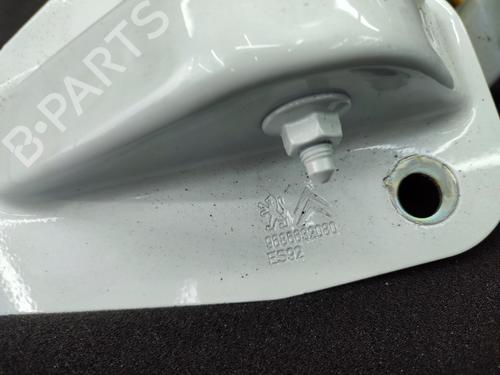 Hinge/Door check strap PEUGEOT 508 I (8D_) 1.6 HDi | BP23678796C146