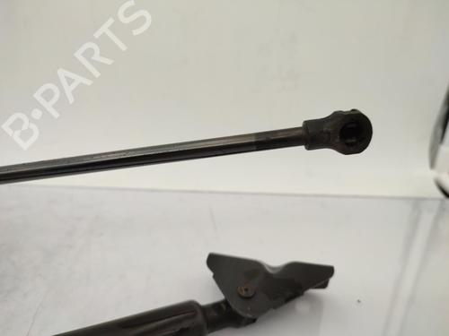 Tailgate lift support PEUGEOT 208 I (CA_, CC_) 1.6 BlueHDi 100 | BP23676417C138