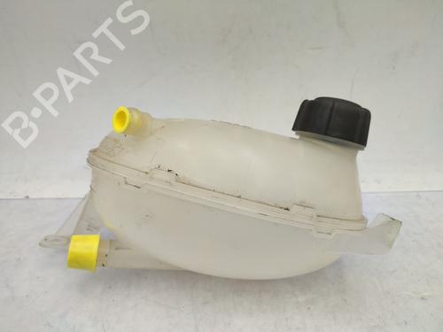 Used Expansion tank DACIA SANDERO II 1.5 Blue dCi 95 (B8JL) (95 hp) 29208505