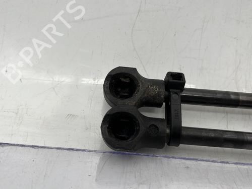 Tailgate lift support DACIA SANDERO II TCe 90 (B8M1, B8MA, B8AC) | BP31321468C138