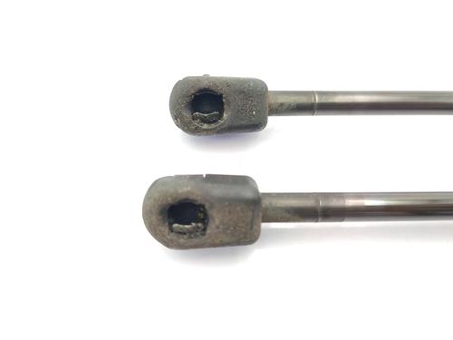 Hood lift support RENAULT SCÉNIC III (JZ0/1_) 1.5 dCi | BP23757762C139 