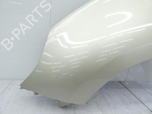 Used Left front fenders RENAULT SCÉNIC III (JZ0/1_) 1.9 dCi (JZ0J, JZ1J, JZ1K, JZ1S) (131 hp) 23697513
