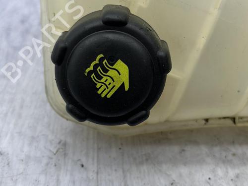 Expansion tank RENAULT KANGOO Express (FC0/1_) 1.5 dCi (FC07, FC1R) | BP23672366C120 