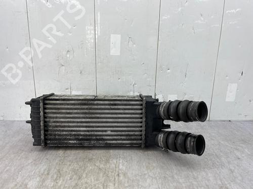 Used Intercooler Intercooler CITROËN XSARA PICASSO (N68) 1.6 HDi (109 hp) 35890151 35890151