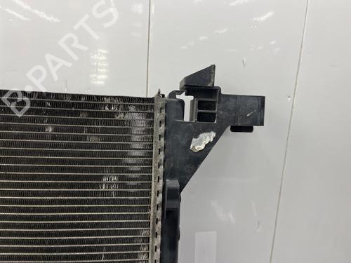 Water radiator RENAULT MASTER III Van (FV) 2.3 dCi 125 FWD (FV0C, FV0D, FV0G, FV0H, FV0J, FV0K,... | BP38425928M31 - Image 10
