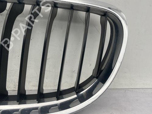 Grille BMW 3 (E90) 320 d | BP31016898C40