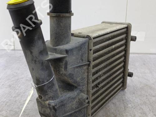 Intercooler FIAT PANDA (169_) 1.3 D Multijet (169.AXC1A) | BP23675845M30 