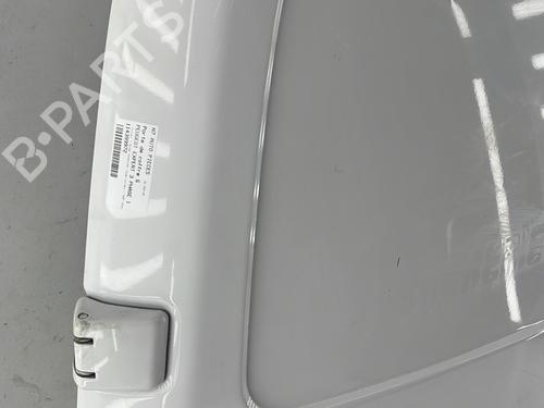Left tailgate PEUGEOT EXPERT Van (V_) 2.0 BlueHDi 120 | BP29850813C76 