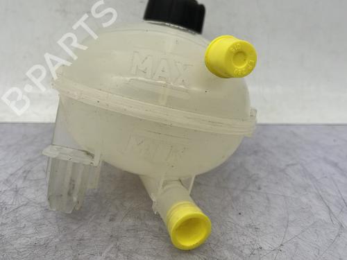 expansion-tank-renault-clio-v-b7_-2019-23758458 main image