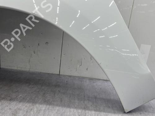 Left front fenders RENAULT SCÉNIC III (JZ0/1_) 1.5 dCi | BP23756535C41 