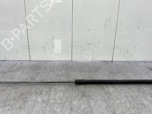 Used Hood lift support VW GOLF VII (5G1, BQ1, BE1, BE2) 1.2 TSI (105 hp) 23758290