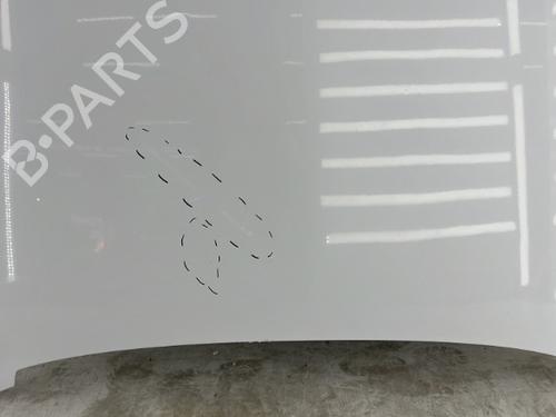 Hood RENAULT RAPID Box Body/MPV (F40_, G40_) 1.6 D (F404) | BP23758244C1