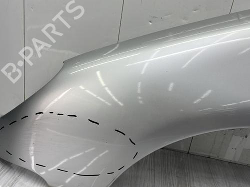 Left front fenders PEUGEOT 206 Hatchback (2A/C) 1.4 HDi eco 70 | BP28110267C41 