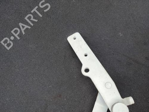 Hinge/Door check strap FIAT 500 (312_) 1.3 D Multijet (312AXE1A) | BP23757023C146