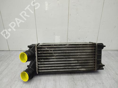 Used Intercooler Intercooler CITROËN DS4 (NX_) 1.6 HDi 110 (112 hp) 23741338 23741338