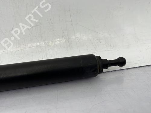 Hood lift support RENAULT MEGANE III Hatchback (BZ0/1_, B3_) 1.9 dCi (BZ0N, BZ0J) | BP24509443C139 