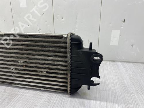 Intercooler RENAULT TRAFIC II Van (FL) 1.9 dCi 80 (FL0B) | BP37717369M30 - Image 5