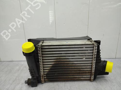 Intercooler DACIA DUSTER (HS_) 1.2 TCe 125 | BP23723363M30  - Image 5