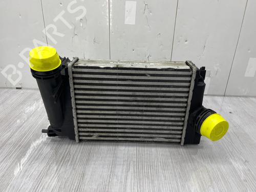 Intercooler RENAULT KADJAR (HA_, HL_) 1.5 dCi 110 (HLA3) | BP37717317M30  - Image 8