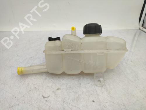 Ekspansjonstank RENAULT MEGANE IV Hatchback (B9A/M/N_) 1.2 TCe 130 (B9MR) (130 hp) 23887343