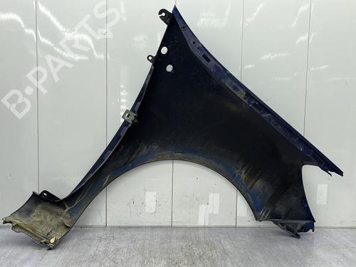 Left front fenders RENAULT CLIO III (BR0/1, CR0/1) 1.4 16V | BP23684285C41 