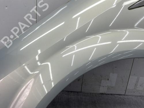 Left front fenders RENAULT SCÉNIC II (JM0/1_) 1.9 dCi (JM0G, JM12, JM1G, JM2C) | BP25997690C41 