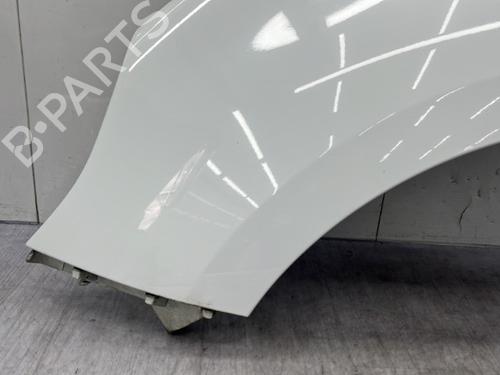 Left front fenders RENAULT SCÉNIC III (JZ0/1_) 1.5 dCi | BP23756535C41 