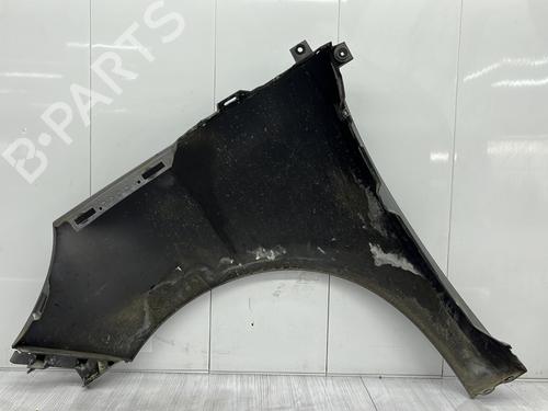 Right front fenders RENAULT SCÉNIC III (JZ0/1_) 1.5 dCi | BP27884117C42 