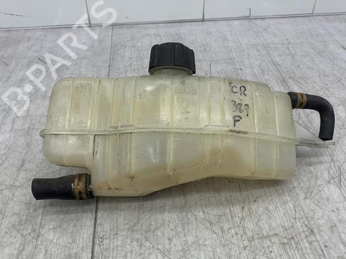 expansion-tank-renault-clio-iii-br01-cr01-2005-2006-2007-2008-2009-2010-2011-2012-2013-2014-23703614 main image