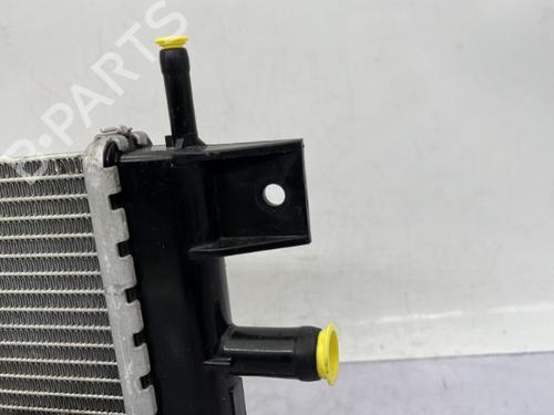 Water radiator DACIA SPRING EV (B6M1) | BP23751156M31  - Image 10
