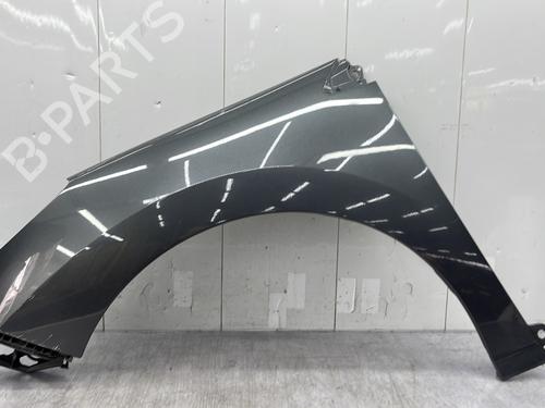 Used Left front fenders PEUGEOT 308 I (4A_, 4C_) 1.6 HDi (92 hp) 27436006