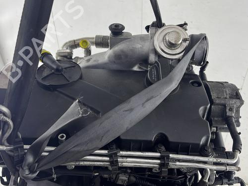 Engine VW GOLF V (1K1) 1.9 TDI | BP29618271M1 