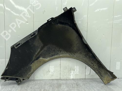 Right front fenders RENAULT SCÉNIC III (JZ0/1_) 1.6 dCi (JZ00, JZ12) | BP29372532C42 