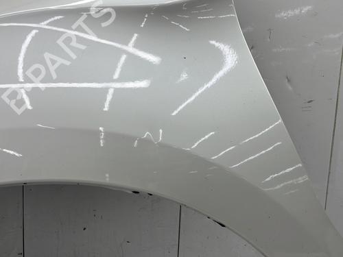 Left front fenders CITROËN DS4 (NX_) 2.0 HDi / BlueHDi 135 | BP29634692C41 