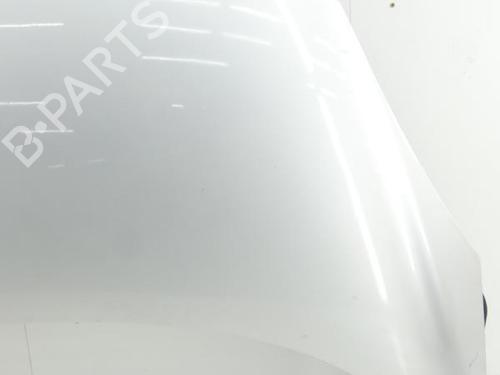 Używane Pokrywa przednia / Maska silnika RENAULT SCÉNIC III (JZ0/1_) 1.9 dCi (JZ0J, JZ1J, JZ1K, JZ1S) (131 hp) 23693850