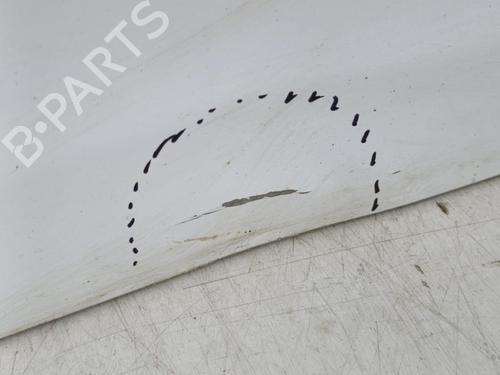 Left front door FORD TRANSIT CONNECT (P65_, P70_, P80_) 1.8 TDCi | BP23728984C2 