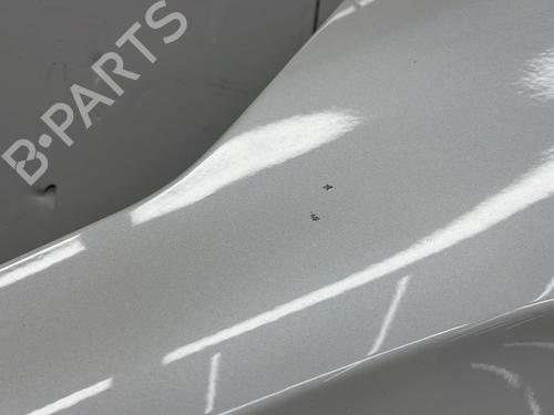 Left front fenders CITROËN DS4 (NX_) 2.0 HDi / BlueHDi 135 | BP29634692C41 