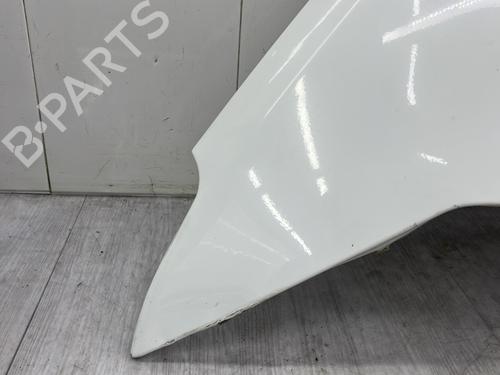 Left front fenders FORD C-MAX (DM2) 1.6 TDCi | BP27594520C41 